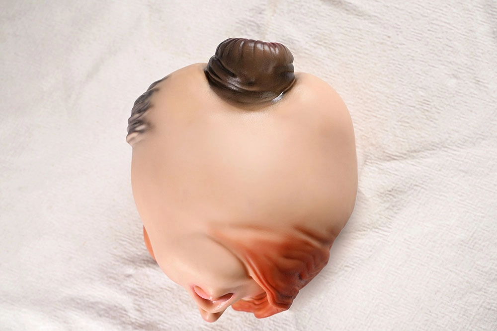 高品質 ポケット膣自慰器